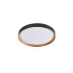 ΟΡΟΦΗΣ ΦΩΤΙΣΤΙΚΟ LED-ΠΛΑΦΟΝΙΕΡΑ-ΚΩΔ. ROBLE-500-B