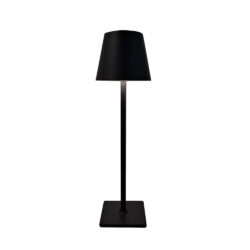 it-Lighting Utah-LED 1.5W 3CCT Solar Spike Light in Black Color (80205010S)