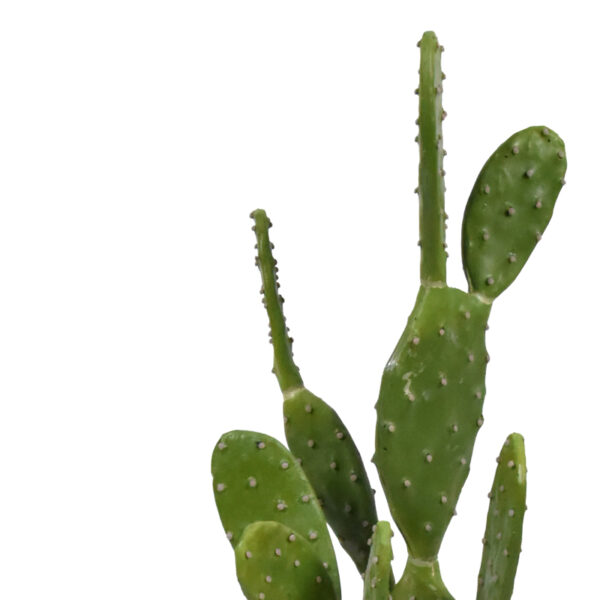 Διακοσμητικό φυτό Cactus σε γλάστρα Inart πράσινο pp Υ64εκ - Image 2