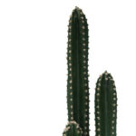 Διακοσμητικό φυτό Cactus III σε γλάστρα Inart πράσινο pp Υ85εκ - Image 2