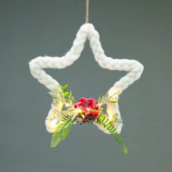 ^PENDANT STAR 10 LED ΛΑΜΠ ΚΑΛΩΔΙΟ ΧΑΛΚΟΥ ΘΕΡΜΟ ΣΤΑΘΕΡΟ ΜΠΑΤ (2ΧΑΑ) 30cm IP20 0