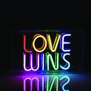 LOVE WINS 120 NEON LED ΛΑΜΠ USB ΚΑΛ 2m ΠΟΛΥΧΡΩΜΑ IP20 31*4