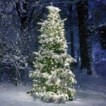 ^ 350 LED ΧΤΑΠΟΔΙ ΛΑΜΠ 10 ΣΕΙΡΕΣ x 35 ΛΑΜΠ WW ΑΝΤΑΠΤ (31VDC) IP44 10*350cm & 3m ΠΡΑΣ ΚΑΛΩΔ