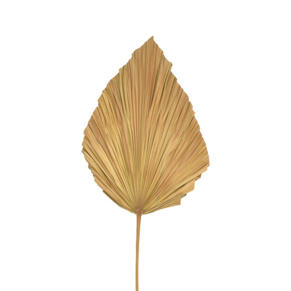 Διακοσμητικό φύλλο Walsy Inart palm leaf σε φυσική απόχρωση Υ135 εκ - Image 2