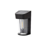 InLight Eagle LED 2W 3000K Outdoor Wall Lamp Black D:13