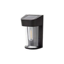 InLight Eagle LED 2W 3000K Outdoor Wall Lamp Black D:13
