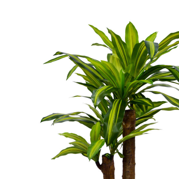 Διακοσμητικό φυτό  Dracaena σε γλάστρα Inart πράσινο pp Υ110εκ - Image 2