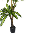 Διακοσμητικό φυτό Dracaena I σε γλάστρα Inart  πράσινο pp Υ170εκ - Image 3