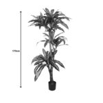 Διακοσμητικό φυτό Dracaena I σε γλάστρα Inart  πράσινο pp Υ170εκ - Image 4
