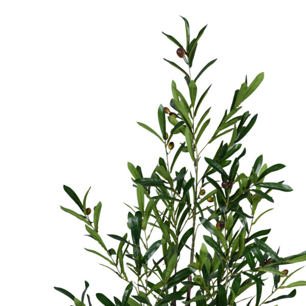 Διακοσμητικό φυτό Olive tree σε γλάστρα Inart πράσινο pp Υ120εκ - Image 2