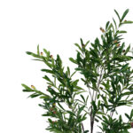 Διακοσμητικό φυτό Olive tree I σε γλάστρα Inart πράσινο pp Υ150εκ - Image 2