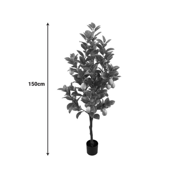 Διακοσμητικό φυτό Lemon tree σε γλάστρα Inart πράσινο pp Υ150εκ - Image 2