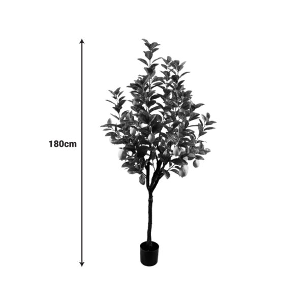 Διακοσμητικό φυτό Lemon tree σε γλάστρα Inart πράσινο pp Υ180εκ - Image 2