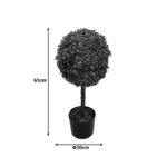 Διακοσμητικό φυτό Bolla I σε γλάστρα Inart πράσινο pp Φ30x65εκ - Image 2