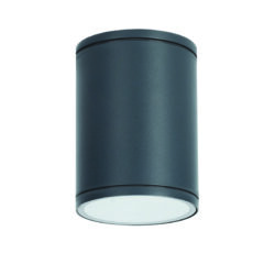 ^E27 PAR30  ROUND CEILING LUMINAIRE 230V AC DARK GREY IP65 MAX.35W