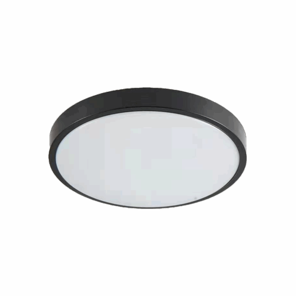 it-Lighting Torch LED 18W 3CCT Outdoor Ceiling Light Anthracite D:28cmx5