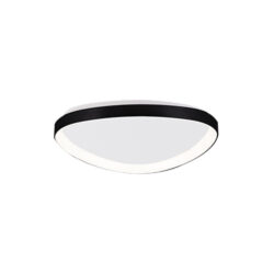 Inlight Πλαφονιέρα οροφής LED 25W 3CCT από μαύρο μέταλλο και ακρυλικό D:61