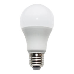LED SMD E27 A60 10W 6000K 230V AC 910LM RA80 30000H 180°