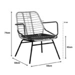 Πολυθρόνα κήπου Naoki pakoworld με μαξιλάρι pe φυσικό-μέταλλο μαύρο πόδι 58x63x81εκ - Image 2
