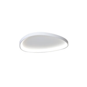 Inlight Πλαφονιέρα οροφής LED 25W 3CCT από λευκό μέταλλο και ακρυλικό D:61