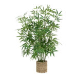 Φυτό σε γλάστρα Belica pakoworld Φ45x100εκ