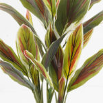 Διακοσμητικό φυτό σε γλάστρα Cycas Inart πράσινο Φ55x80εκ - Image 2