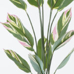 Διακοσμητικό φυτό σε γλάστρα Aglaonema Inart πράσινο Φ80x150εκ - Image 2