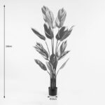 Διακοσμητικό φυτό σε γλάστρα Aglaonema Inart πράσινο Φ80x150εκ - Image 4