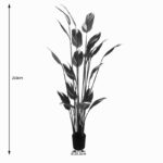 Διακοσμητικό φυτό σε γλάστρα Lucky I Inart πράσινο Φ80x210εκ - Image 3