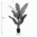 Διακοσμητικό φυτό σε γλάστρα Calathea Inart πράσινο Φ68x120εκ - Image 4