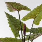 Διακοσμητικό φυτό σε γλάστρα Wentii Inart πράσινο Φ130x180εκ - Image 2