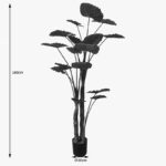 Διακοσμητικό φυτό σε γλάστρα Taro Plant Inart πράσινο Φ90x180εκ - Image 3