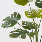 Διακοσμητικό φυτό σε γλάστρα Deliciosa Inart πράσινο Φ94x120εκ - Image 2