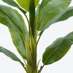 Διακοσμητικό φυτό σε γλάστρα Banono Inart πράσινο Φ95x160εκ - Image 2