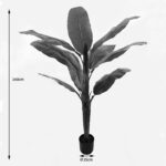 Διακοσμητικό φυτό σε γλάστρα Banono Inart πράσινο Φ95x160εκ - Image 3