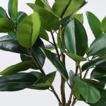 Διακοσμητικό φυτό σε γλάστρα Ficus Lyrata Inart πράσινο Φ70x130εκ - Image 2