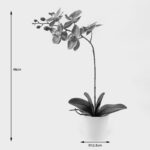 Διακοσμητικό φυτό σε γλάστρα Οrchid Beauty Inart 30x13x46εκ - Image 4