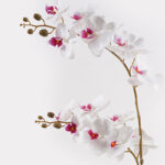 Διακοσμητικό φυτό σε γλάστρα Οrchid White Inart 36x17x65εκ - Image 2