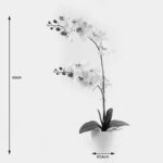 Διακοσμητικό φυτό σε γλάστρα Οrchid White Inart 36x17x65εκ - Image 4