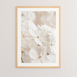 Πίνακας Belo pakoworld με ψηφιακή εκτύπωση και πλαίσιο 33x1.5x48εκ