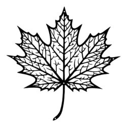 Διακοσμητικό τοίχου Flowy pakooworld μαύρο μεταλλικό 40x1