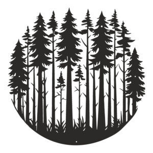 Διακοσμητικό τοίχου Foren pakooworld μαύρο μεταλλικό Φ50x1