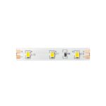 ΛΩΡΙΔΑ LED SMD 12V DC 5M 4.8W/M 3000K 550LM/M IP20 Ra80 8mm