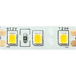 ΛΩΡΙΔΑ LED SMD 12V DC 25M 9.6W/M 6500K 1130LM/M IP20 Ra80 8mm