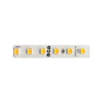 ΛΩΡΙΔΑ LED SMD SAMSUNG 24V DC 5M 7.7W/M 3000K 1280LM/M IP20 Ra80 5YRS 8mm