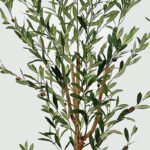 Διακοσμητικό φυτό σε γλάστρα Olia Inart πράσινο 65x55x180εκ - Image 2