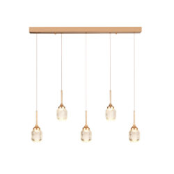 Inlight Κρεμαστό φωτιστικό LED 5*10W από χρυσαφί μέταλλο και ακρυλικό D:60x200cm (4077R-5-Golden)