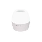 2 IN 1 8W LED NIGHT LIGHT & PROJECTOR WITH 4 PATTERNS AND 1M USB CABLE OR 3XAA