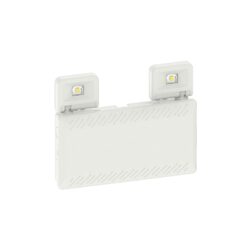LED ΦΩΤΙΣΤΙΚΟ ΑΣΦΑΛΕΙΑΣ ΜΗ ΣΥΝΕΧΟΥΣ ΜΕ ΚΟΥΜΠΙ ΔΟΚΙΜΗΣ & SELF TEST230V AC 500LM 6000K IP65 2x2W 3HRS