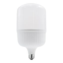 LED SMD 48W 6000K 4650LM 230V AC RA80 40000HRS 220° 1xE27 IP65